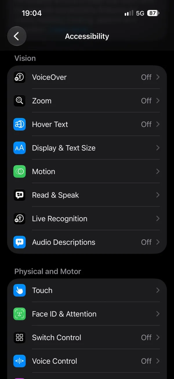 The Accessibility page in iPhone Settings, with Read & Speak in the list.